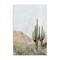 Stupell Industries Desert Tranquility Cacti Canvas, design by Hannah Dawson